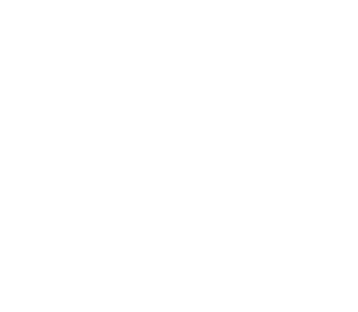 Ugly Duckling Series
